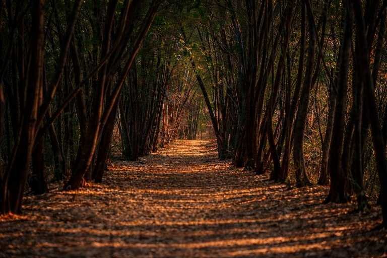 Bangalore